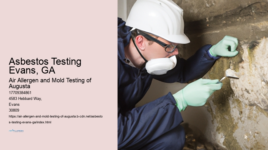 Asbestos Testing  Evans, GA