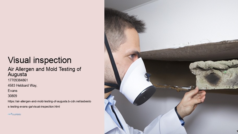 Visual inspection